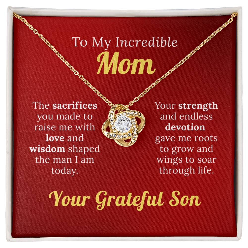 To My Incredible Mom - For Your Endless Love