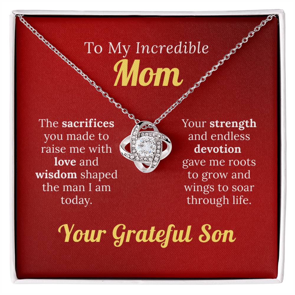 To My Incredible Mom - For Your Endless Love