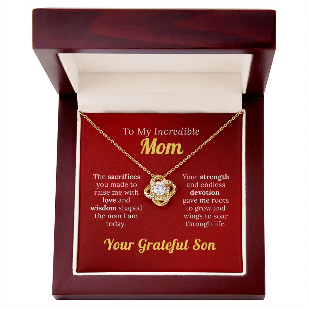 To My Incredible Mom - For Your Endless Love