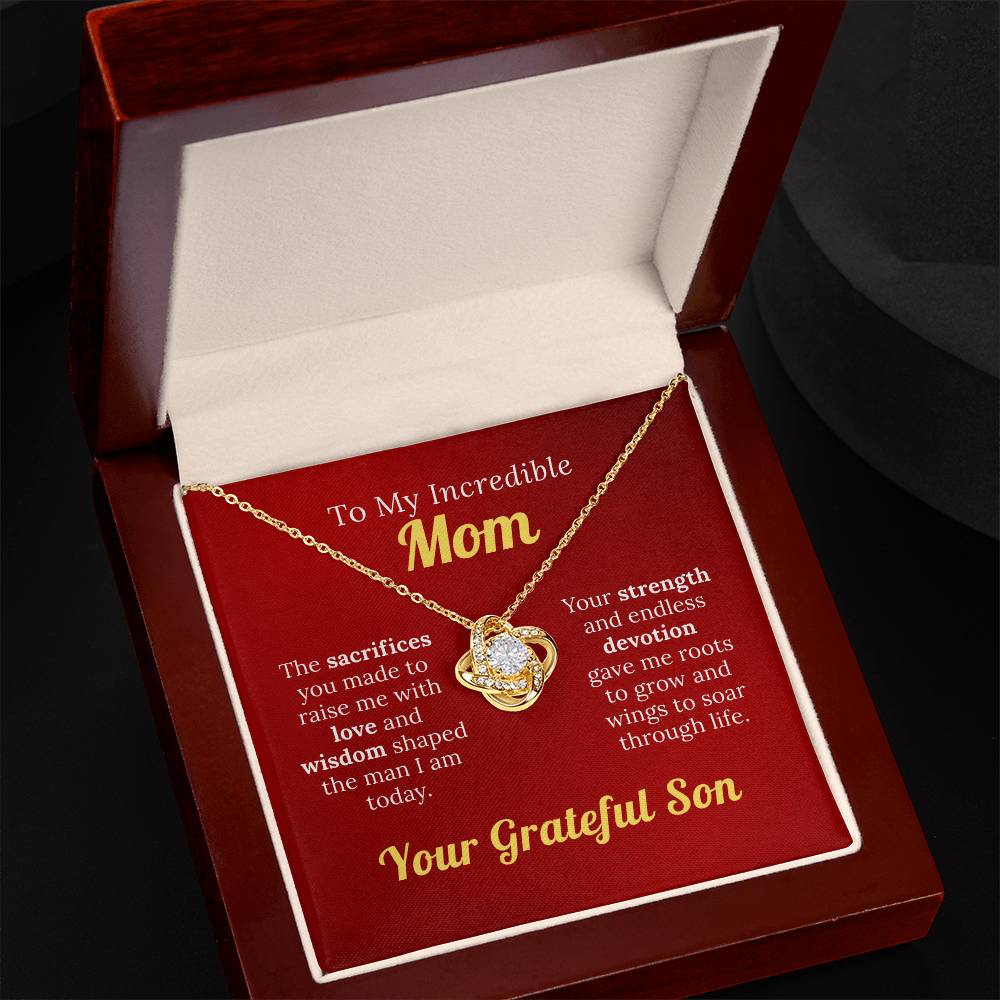 To My Incredible Mom - For Your Endless Love