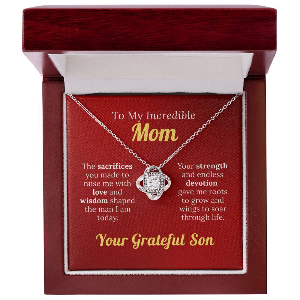 To My Incredible Mom - For Your Endless Love