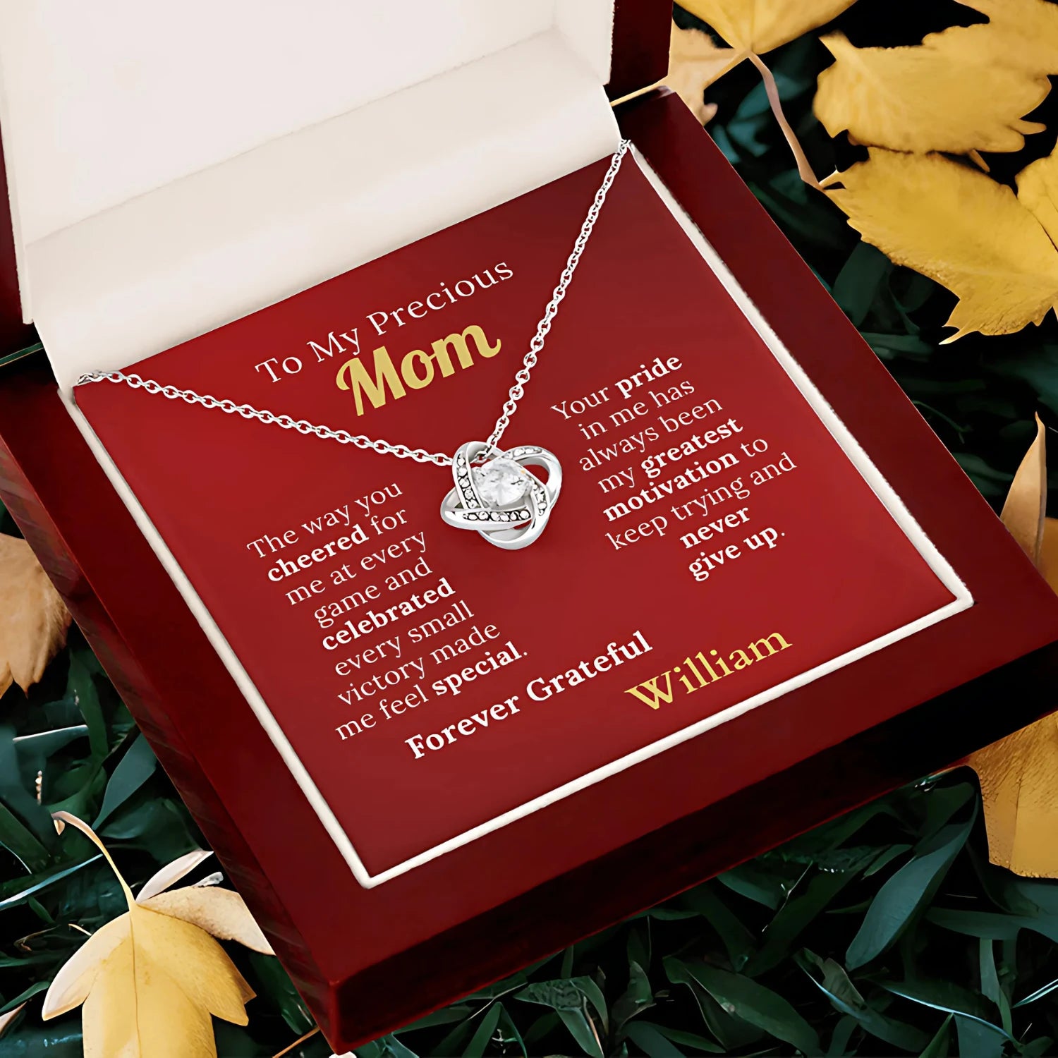 To my Mom, Who Made Me Believe I Could